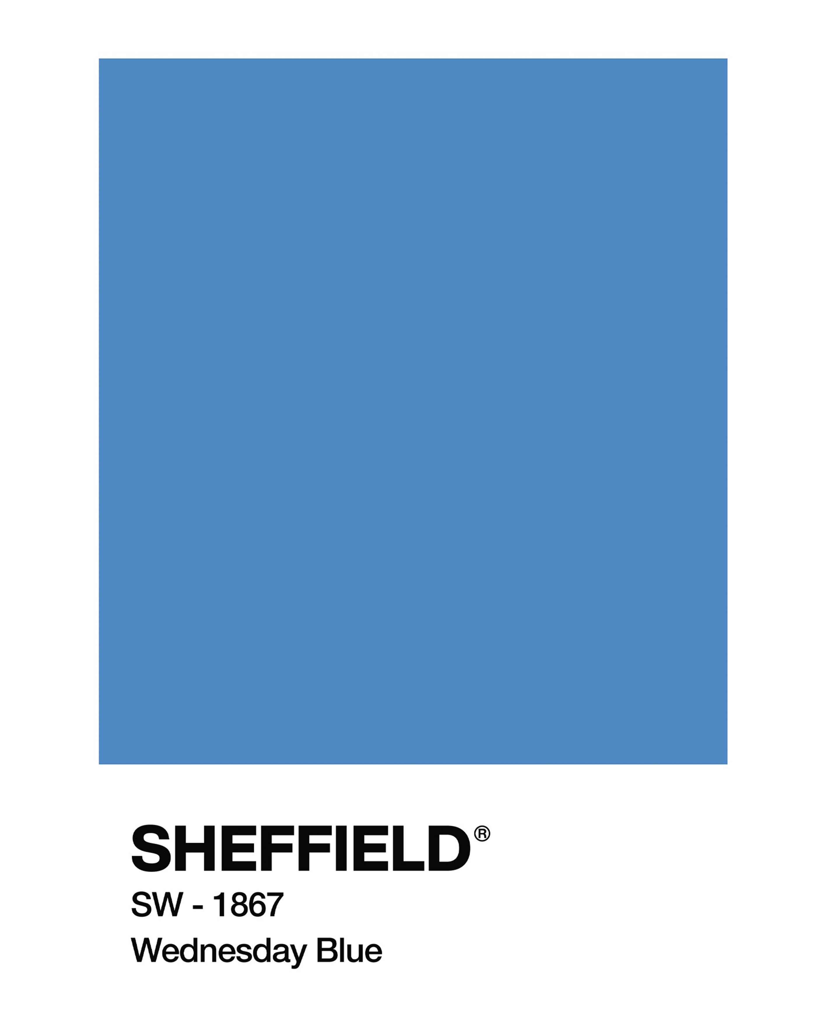 ART OF Wednesday Blue and Owl White Framed Print | SWFC Football Art
